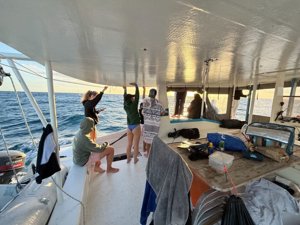 Journée à bord du catamaran de IZIFoil